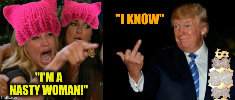 We get it, honey. Now take that ridiculous hat off, find yourself a husband and have a family already.. | "I KNOW"; "I'M A NASTY WOMAN!" | image tagged in meme,memes,mgtow,political meme,funny meme,trump | made w/ Imgflip meme maker