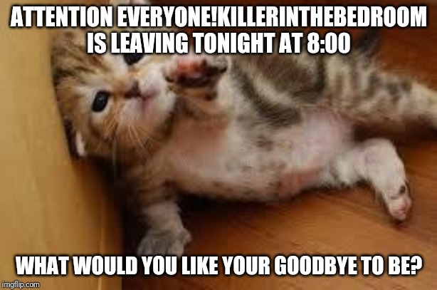 Sad Kitten Goodbye | ATTENTION EVERYONE!KILLERINTHEBEDROOM IS LEAVING TONIGHT AT 8:00; WHAT WOULD YOU LIKE YOUR GOODBYE TO BE? | image tagged in sad kitten goodbye | made w/ Imgflip meme maker