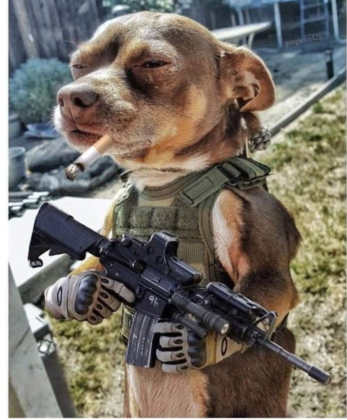 war-dog-memes-imgflip
