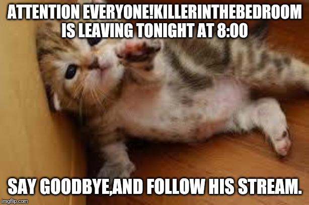 Sad Kitten Goodbye | ATTENTION EVERYONE!KILLERINTHEBEDROOM IS LEAVING TONIGHT AT 8:00; SAY GOODBYE,AND FOLLOW HIS STREAM. | image tagged in sad kitten goodbye | made w/ Imgflip meme maker