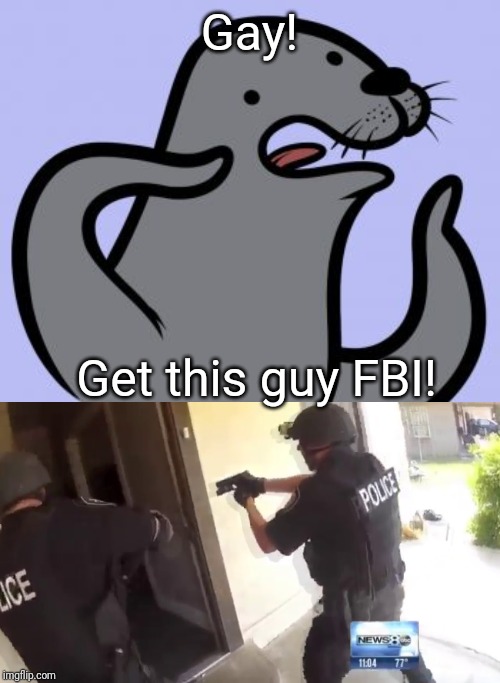 Gay! Get this guy FBI! | image tagged in memes,homophobic seal,fbi open up | made w/ Imgflip meme maker