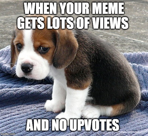 sad dog | WHEN YOUR MEME GETS LOTS OF VIEWS; AND NO UPVOTES | image tagged in sad dog | made w/ Imgflip meme maker