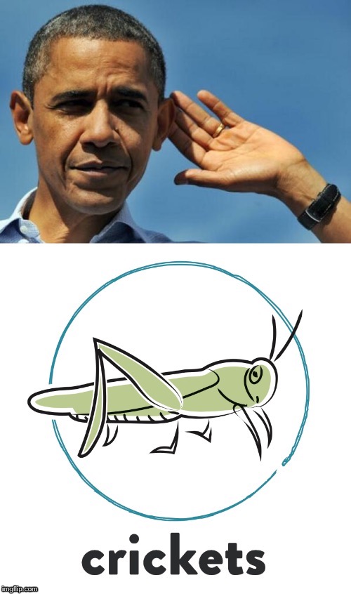 Obama crickets reacc | image tagged in obama crickets reacc | made w/ Imgflip meme maker