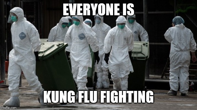 EVERYONE IS; KUNG FLU FIGHTING | image tagged in flu | made w/ Imgflip meme maker