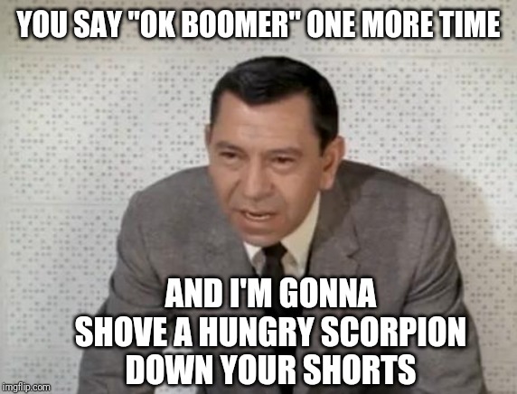 Joe Friday | YOU SAY "OK BOOMER" ONE MORE TIME; AND I'M GONNA SHOVE A HUNGRY SCORPION DOWN YOUR SHORTS | image tagged in joe friday | made w/ Imgflip meme maker
