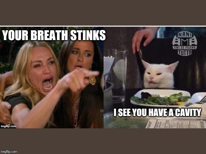white cat table | YOUR BREATH STINKS; I SEE YOU HAVE A CAVITY | image tagged in white cat table | made w/ Imgflip meme maker