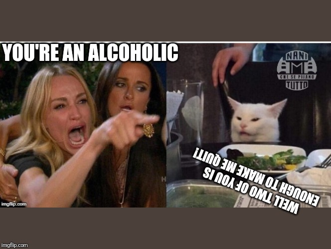 white cat table | YOU'RE AN ALCOHOLIC; WELL TWO OF YOU IS ENOUGH TO MAKE ME QUIT! | image tagged in white cat table | made w/ Imgflip meme maker
