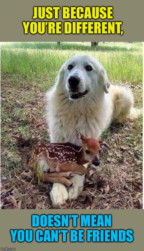 Deer Dog | JUST BECAUSE YOU’RE DIFFERENT, DOESN’T MEAN YOU CAN’T BE FRIENDS | image tagged in different,friends,dog,deer,friendship,positive thinking | made w/ Imgflip meme maker