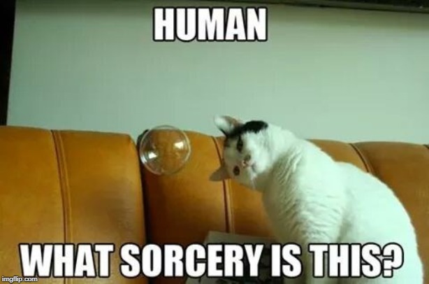 sorcery | image tagged in cat humor,bulle fun,sorcery | made w/ Imgflip meme maker