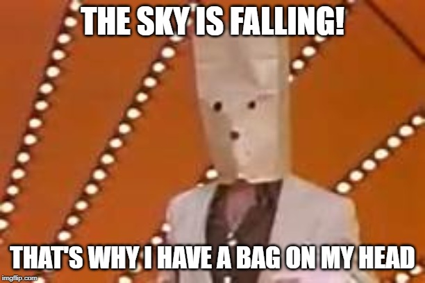 THE SKY IS FALLING! THAT'S WHY I HAVE A BAG ON MY HEAD | image tagged in unknown comic | made w/ Imgflip meme maker