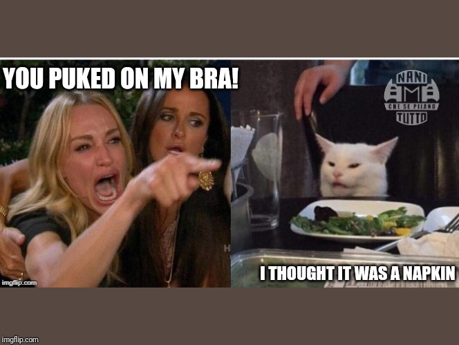 white cat table | YOU PUKED ON MY BRA! I THOUGHT IT WAS A NAPKIN | image tagged in white cat table | made w/ Imgflip meme maker