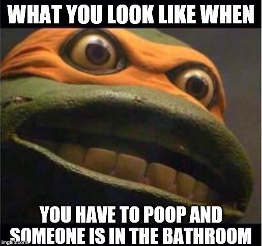 T.M.N.T. | WHAT YOU LOOK LIKE WHEN; YOU HAVE TO POOP AND SOMEONE IS IN THE BATHROOM | image tagged in tmnt | made w/ Imgflip meme maker