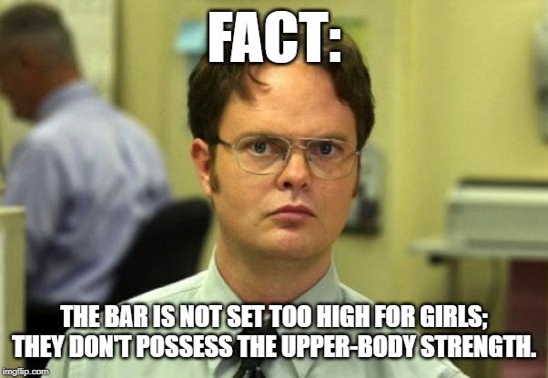 Dwight Schrute | FACT:; THE BAR IS NOT SET TOO HIGH FOR GIRLS; THEY DON'T POSSESS THE UPPER-BODY STRENGTH. | image tagged in memes,dwight schrute | made w/ Imgflip meme maker