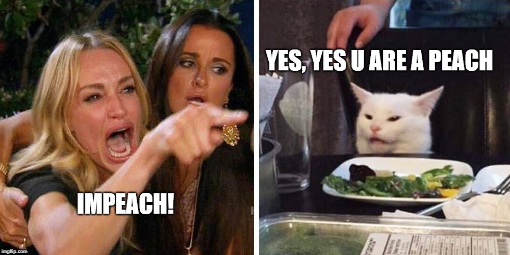 Smudge the cat | YES, YES U ARE A PEACH; IMPEACH! | image tagged in smudge the cat | made w/ Imgflip meme maker