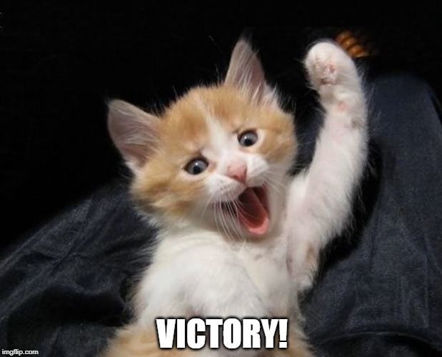 VICTORY! | image tagged in cats,funny cat memes,kitten | made w/ Imgflip meme maker