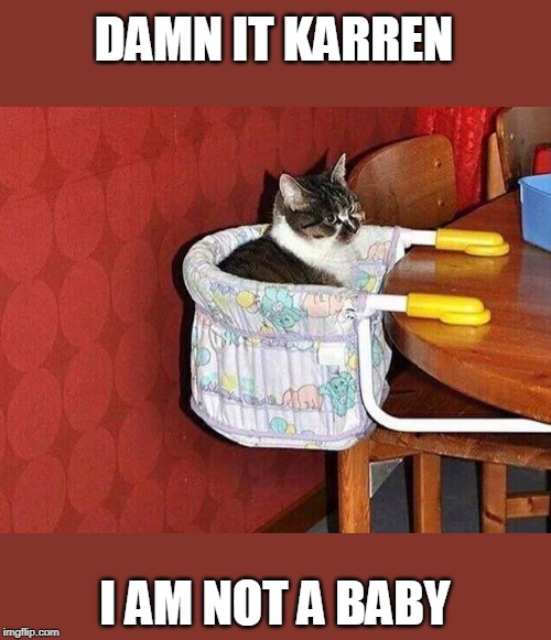DAMN IT KARREN; I AM NOT A BABY | image tagged in cats,funny cats,cat memes | made w/ Imgflip meme maker