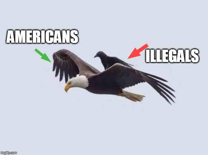 THEY ALL JUST RIDDING ON OUR FREEDOM | ILLEGALS; AMERICANS | image tagged in politics,americans,illegal aliens | made w/ Imgflip meme maker