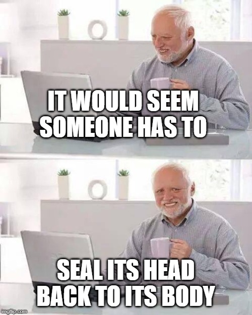 Hide the Pain Harold Meme | IT WOULD SEEM SOMEONE HAS TO SEAL ITS HEAD BACK TO ITS BODY | image tagged in memes,hide the pain harold | made w/ Imgflip meme maker