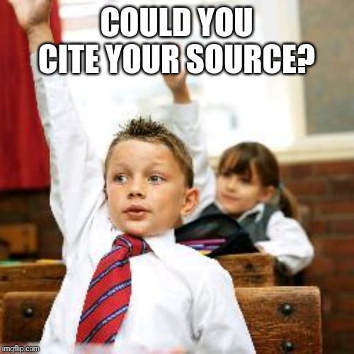 School Kid Pick Me | COULD YOU CITE YOUR SOURCE? | image tagged in school kid pick me | made w/ Imgflip meme maker