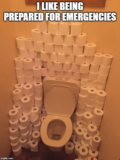 the throne | I LIKE BEING PREPARED FOR EMERGENCIES | image tagged in preppers,toilet paper,plan ahead | made w/ Imgflip meme maker
