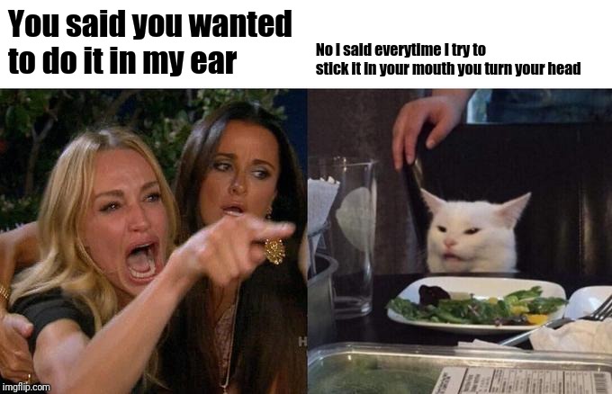 Woman Yelling At Cat | You said you wanted to do it in my ear; No i said everytime I try to stick it in your mouth you turn your head | image tagged in memes,woman yelling at cat | made w/ Imgflip meme maker