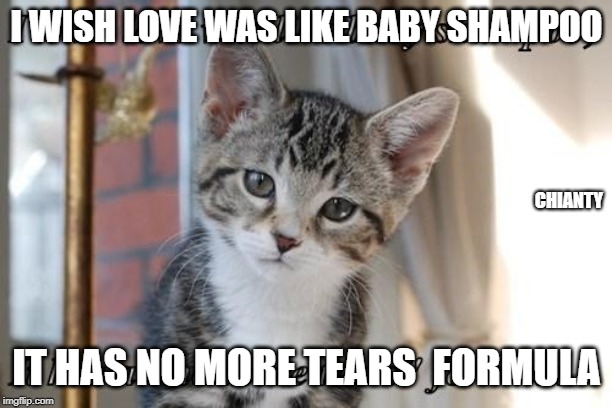 Love | I WISH LOVE WAS LIKE BABY SHAMPOO; CHIANTY; IT HAS NO MORE TEARS  FORMULA | image tagged in formula | made w/ Imgflip meme maker