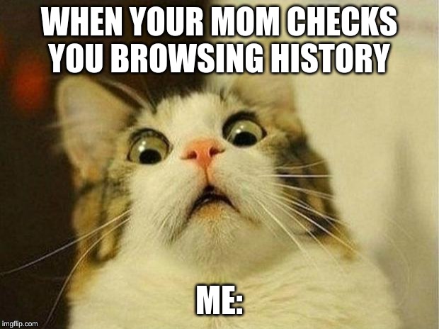 Scared Cat | WHEN YOUR MOM CHECKS YOU BROWSING HISTORY; ME: | image tagged in memes,scared cat | made w/ Imgflip meme maker