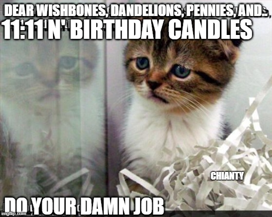 Wishbones | DEAR WISHBONES, DANDELIONS, PENNIES, AND.. 11:11 N' BIRTHDAY CANDLES; CHIANTY; DO YOUR DAMN JOB | image tagged in job | made w/ Imgflip meme maker