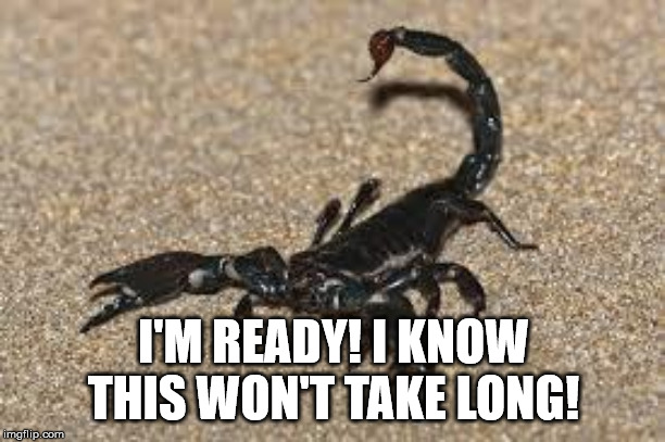 Scorpions | I'M READY! I KNOW THIS WON'T TAKE LONG! | image tagged in scorpions | made w/ Imgflip meme maker