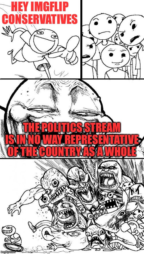 Conservatives run the politics stream? Sure. But not the country as a whole | HEY IMGFLIP CONSERVATIVES THE POLITICS STREAM IS IN NO WAY REPRESENTATIVE OF THE COUNTRY AS A WHOLE | image tagged in hey internet,conservatives,imgflip users,politics,imgflip trends,politics lol | made w/ Imgflip meme maker