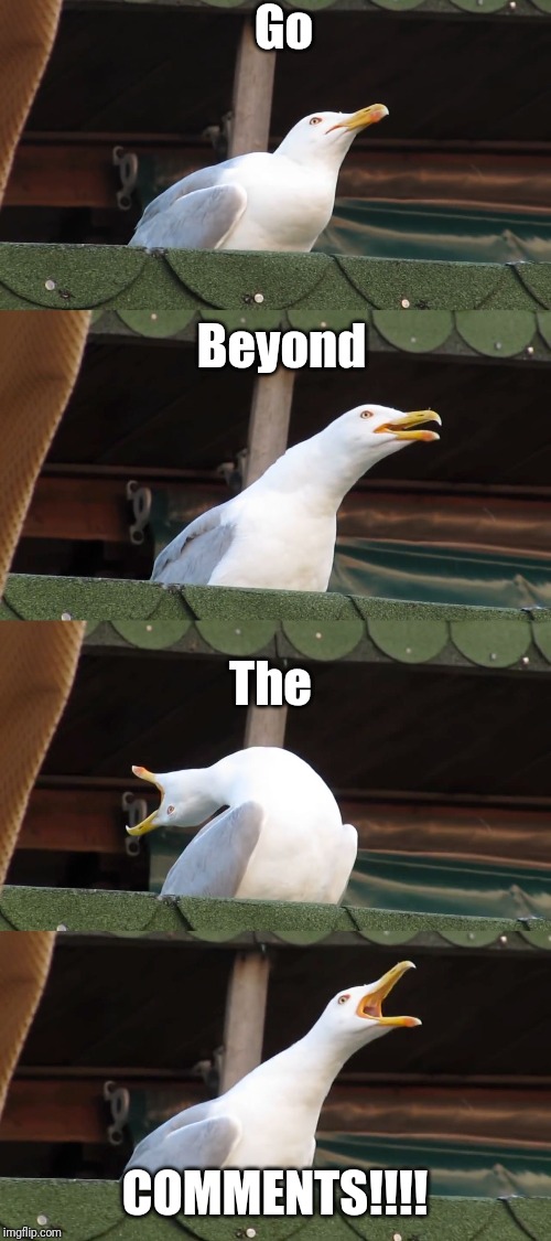 There is a place | Go; Beyond; The; COMMENTS!!!! | image tagged in inhaling seagull,beyondthecomments,btc,endofthread | made w/ Imgflip meme maker