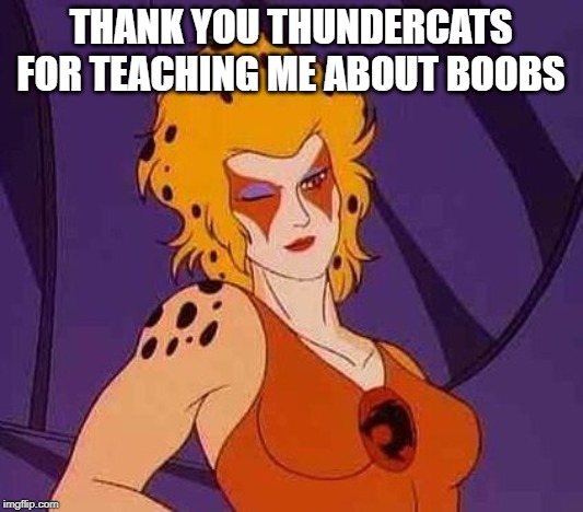 Cheetara | THANK YOU THUNDERCATS FOR TEACHING ME ABOUT BOOBS | image tagged in cartoons | made w/ Imgflip meme maker