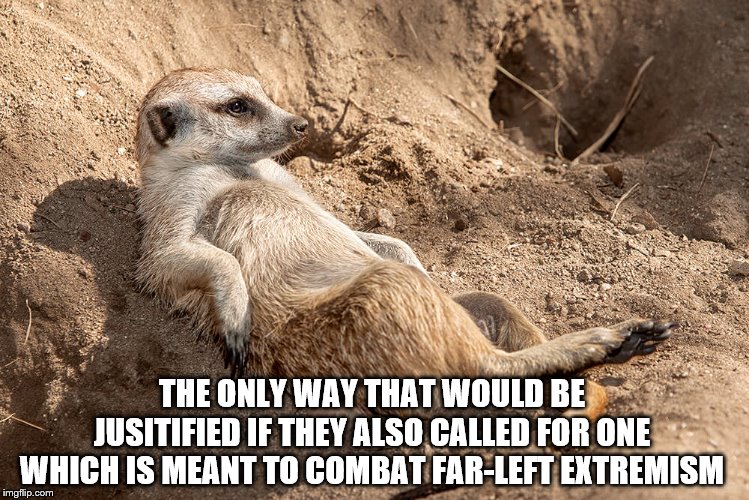 Reclining Meerkat | THE ONLY WAY THAT WOULD BE JUSITIFIED IF THEY ALSO CALLED FOR ONE WHICH IS MEANT TO COMBAT FAR-LEFT EXTREMISM | image tagged in reclining meerkat | made w/ Imgflip meme maker