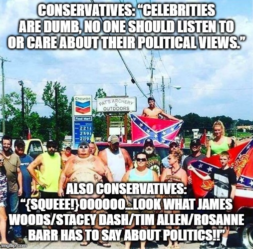 Trump's base - redneck hillbilly voters | CONSERVATIVES: “CELEBRITIES ARE DUMB, NO ONE SHOULD LISTEN TO OR CARE ABOUT THEIR POLITICAL VIEWS.”; ALSO CONSERVATIVES: “{SQUEEE!}OOOOOO...LOOK WHAT JAMES WOODS/STACEY DASH/TIM ALLEN/ROSANNE BARR HAS TO SAY ABOUT POLITICS!!” | image tagged in trump's base - redneck hillbilly voters | made w/ Imgflip meme maker