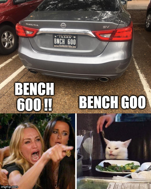 BENCH GOO; BENCH 600 !! | image tagged in smudge the cat | made w/ Imgflip meme maker