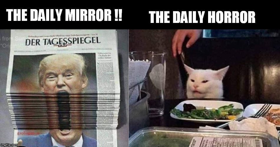 THE DAILY HORROR; THE DAILY MIRROR !! | image tagged in smudge the cat,trump | made w/ Imgflip meme maker