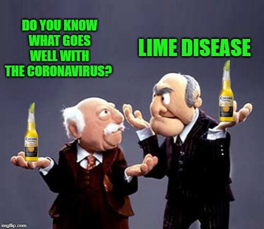 statler and waldorf | LIME DISEASE; DO YOU KNOW WHAT GOES WELL WITH THE CORONAVIRUS? | image tagged in statler and waldorf | made w/ Imgflip meme maker