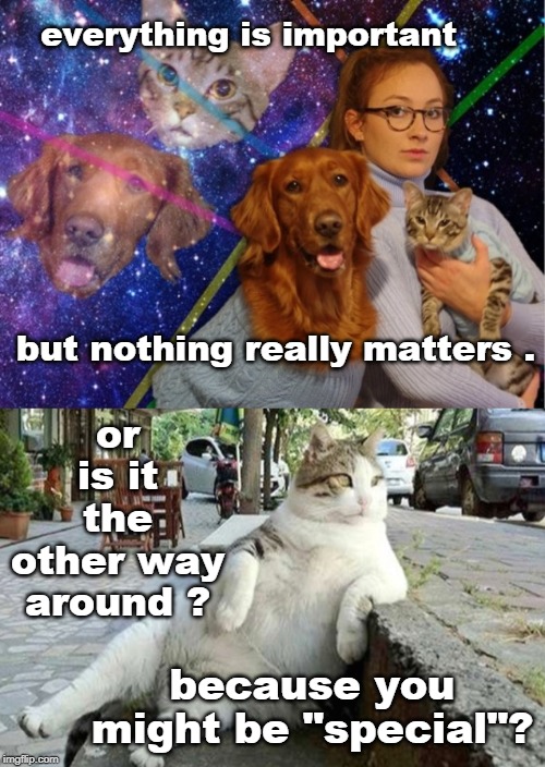 many a truth is spoken in jest. | everything is important; but nothing really matters . or is it the other way around ? because you might be "special"? | image tagged in galaxy,philosophy,think about it,nap time,meme 18 | made w/ Imgflip meme maker