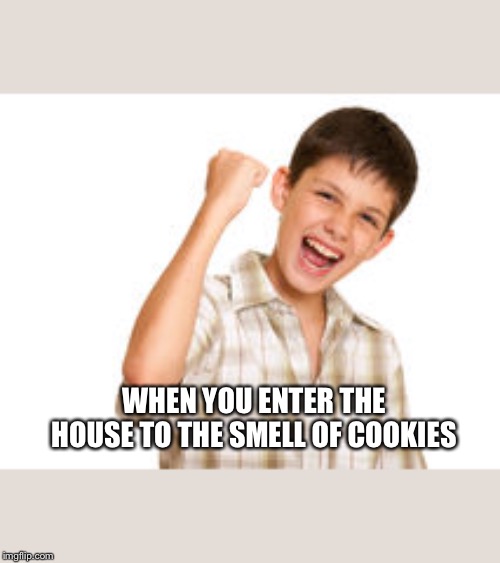 Can u relate? | WHEN YOU ENTER THE HOUSE TO THE SMELL OF COOKIES | image tagged in idk,funny | made w/ Imgflip meme maker