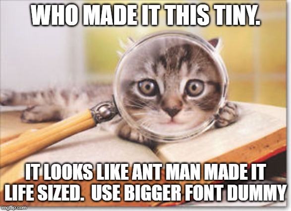 cat magnifying glass | WHO MADE IT THIS TINY. IT LOOKS LIKE ANT MAN MADE IT LIFE SIZED.  USE BIGGER FONT DUMMY | image tagged in cat magnifying glass | made w/ Imgflip meme maker