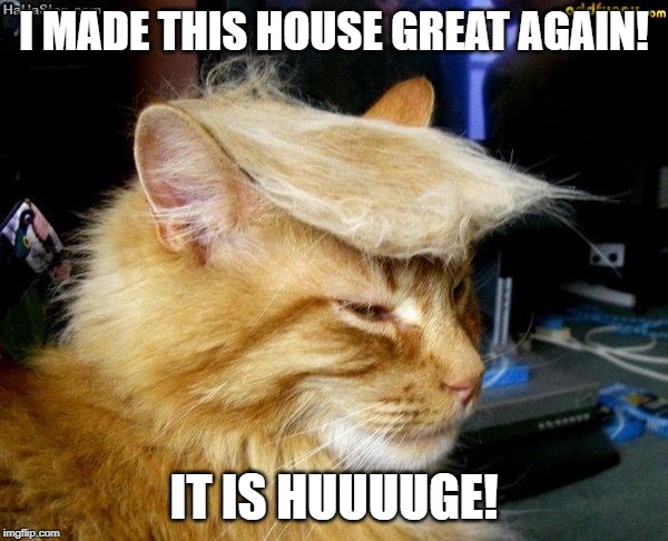 donald trump cat | I MADE THIS HOUSE GREAT AGAIN! IT IS HUUUUGE! | image tagged in donald trump cat | made w/ Imgflip meme maker