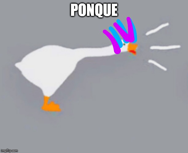 Ponque Honque | PONQUE | image tagged in goose | made w/ Imgflip meme maker