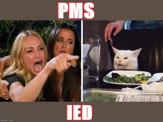 Smudge the cat | PMS; IED | image tagged in smudge the cat | made w/ Imgflip meme maker
