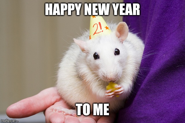 Birthday Rat | HAPPY NEW YEAR; TO ME | image tagged in birthday rat | made w/ Imgflip meme maker