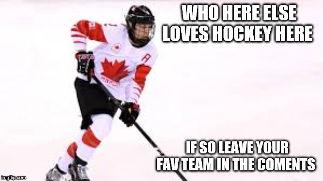 WHO HERE ELSE LOVES HOCKEY HERE; IF SO LEAVE YOUR FAV TEAM IN THE COMENTS | image tagged in hocky player | made w/ Imgflip meme maker