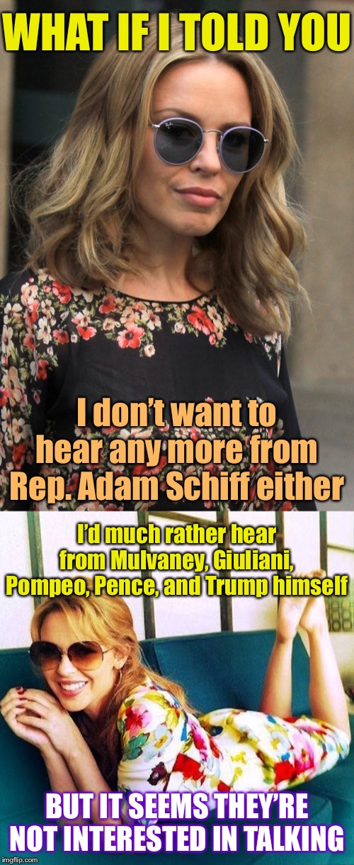 Easiest way to shut up Schiff? Put on your own evidence and witnesses! | WHAT IF I TOLD YOU; I don’t want to hear any more from Rep. Adam Schiff either; I’d much rather hear from Mulvaney, Giuliani, Pompeo, Pence, and Trump himself; BUT IT SEEMS THEY’RE NOT INTERESTED IN TALKING | image tagged in kylie morpheus,kylie morpheus 4,witnesses,adam schiff,trump impeachment,impeachment | made w/ Imgflip meme maker