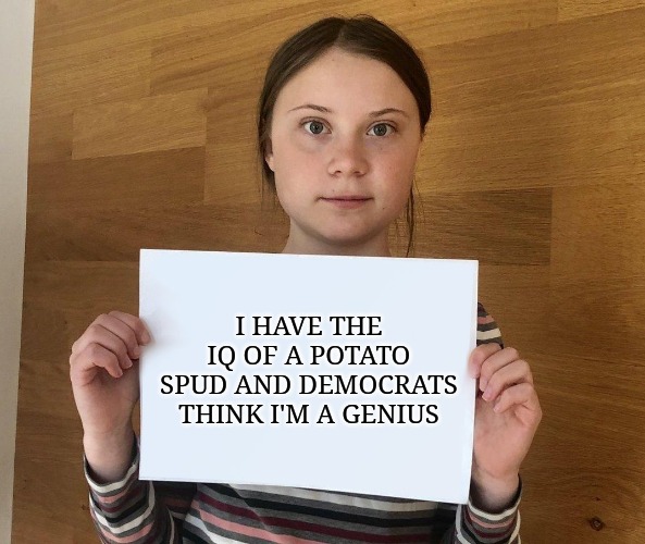 Let that sink in for a moment. | I HAVE THE IQ OF A POTATO SPUD AND DEMOCRATS THINK I'M A GENIUS | image tagged in greta | made w/ Imgflip meme maker