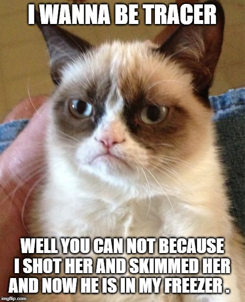 Grumpy Cat Meme | I WANNA BE TRACER WELL YOU CAN NOT BECAUSE I SHOT HER AND SKIMMED HER AND NOW HE IS IN MY FREEZER . | image tagged in memes,grumpy cat | made w/ Imgflip meme maker