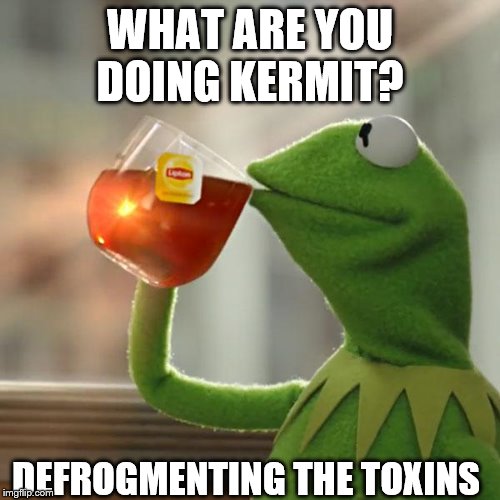 But That's None Of My Business | WHAT ARE YOU DOING KERMIT? DEFROGMENTING THE TOXINS | image tagged in memes,but thats none of my business,kermit the frog | made w/ Imgflip meme maker