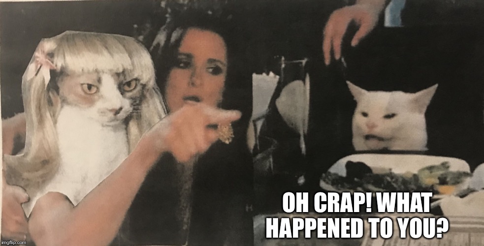 Cat yelling at cat | OH CRAP! WHAT HAPPENED TO YOU? | image tagged in cat yelling at cat | made w/ Imgflip meme maker